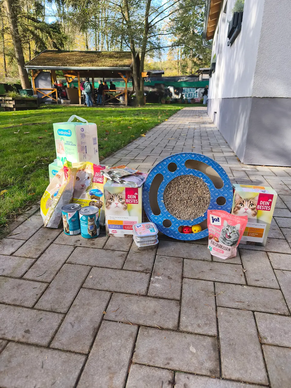 Auf einem gepflasterten Weg sind verschiedene Sachspenden wie Tierfutter, Leckerlis und Spielzeug für Katzen aufgereiht. Im Hintergrund sind Gebäude und Bäume des Tierheims zu sehen.