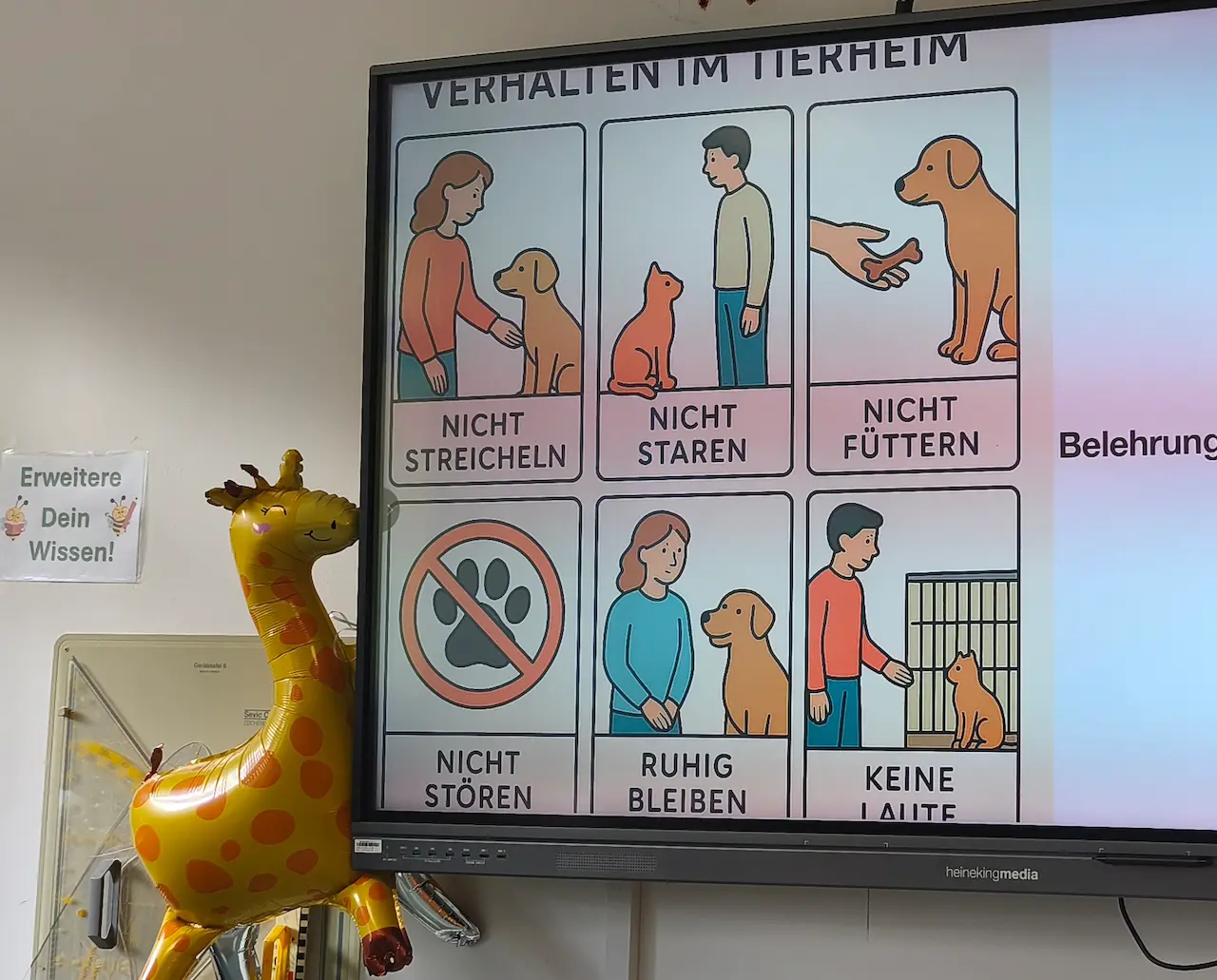 Auf einem Bildschirm im Klassenzimmer ist eine Grafik mit dem Titel „Verhalten im Tierheim“ zu sehen. Sie zeigt sechs bebilderte Regeln wie „Nicht streicheln“ und „Nicht füttern“. Daneben steht ein aufblasbares Giraffentier als Dekoration.